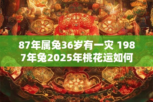 87年属兔36岁有一灾 1987年兔2025年桃花运如何