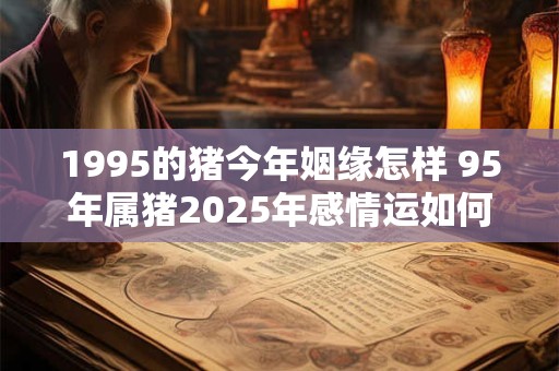 1995的猪今年姻缘怎样 95年属猪2025年感情运如何