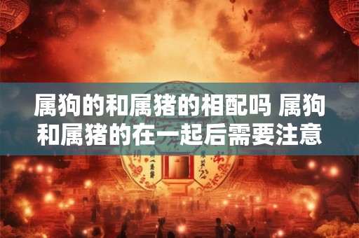 属狗的和属猪的相配吗 属狗和属猪的在一起后需要注意什么
