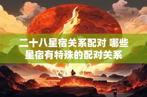 二十八星宿关系配对 哪些星宿有特殊的配对关系