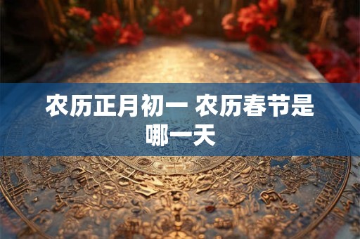 农历正月初一 农历春节是哪一天