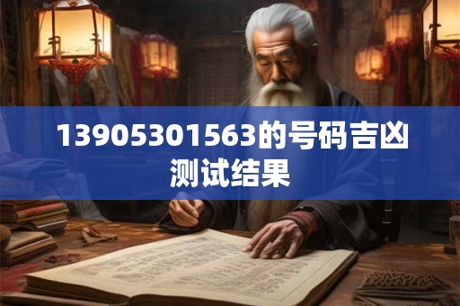 13905301563的号码吉凶测试结果