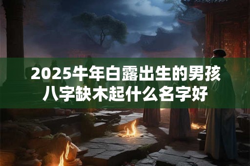 2025牛年白露出生的男孩八字缺木起什么名字好 2025牛年白露出生的男孩八字缺木起什么名字好