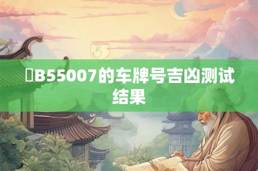 遼B55007的车牌号吉凶测试结果