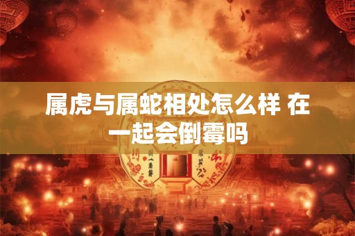 属虎与属蛇相处怎么样 在一起会倒霉吗