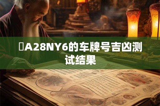 魯A28NY6的车牌号吉凶测试结果