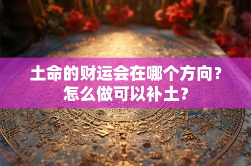 土命的财运会在哪个方向？怎么做可以补土？