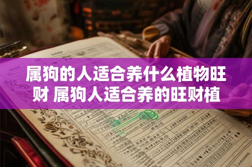 属狗的人适合养什么植物旺财 属狗人适合养的旺财植物