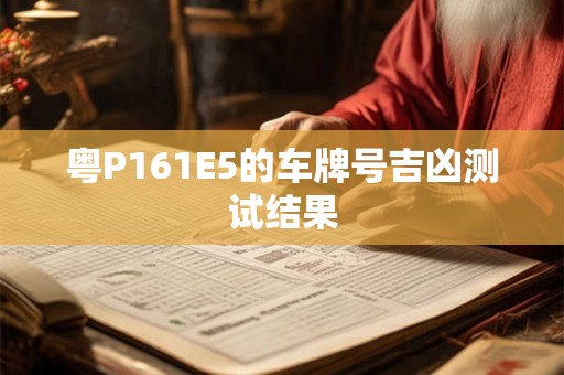 粤P161E5的车牌号吉凶测试结果