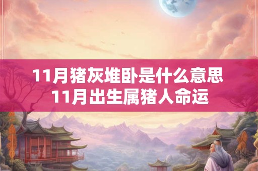 11月猪灰堆卧是什么意思 11月出生属猪人命运