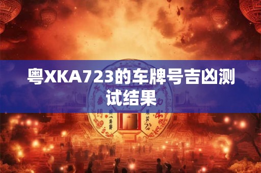 粤XKA723的车牌号吉凶测试结果