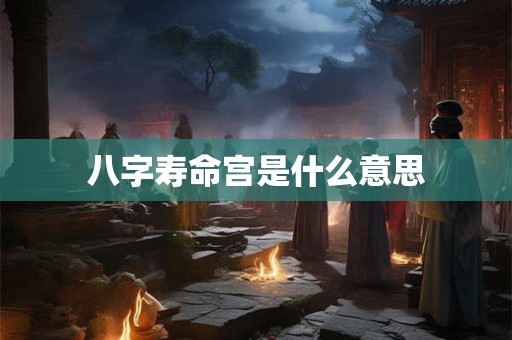 八字寿命宫是什么意思