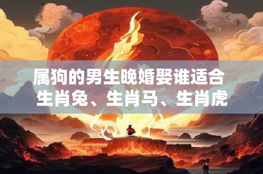 属狗的男生晚婚娶谁适合 生肖兔、生肖马、生肖虎