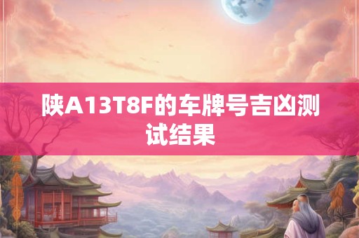 陕A13T8F的车牌号吉凶测试结果