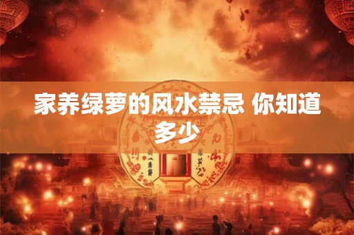 家养绿萝的风水禁忌 你知道多少