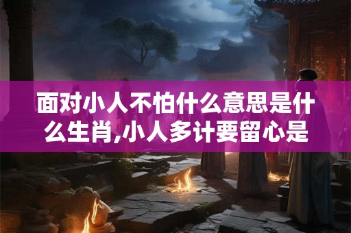 面对小人不怕什么意思是什么生肖,小人多计要留心是什么生肖