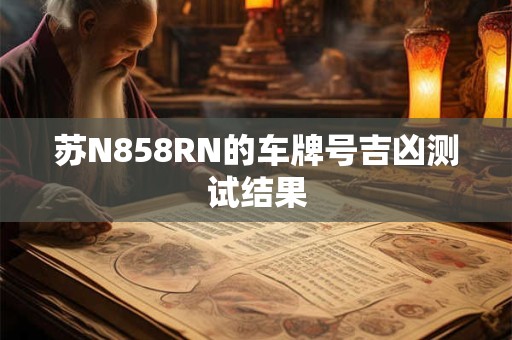 苏N858RN的车牌号吉凶测试结果