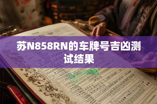 苏N858RN的车牌号吉凶测试结果