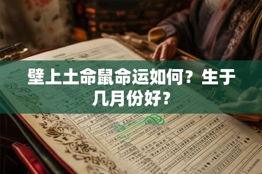 壁上土命鼠命运如何?生于几月份好? 壁上土命鼠命运如何?生于几月份好?
