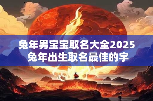兔年男宝宝取名大全2025 兔年出生取名最佳的字