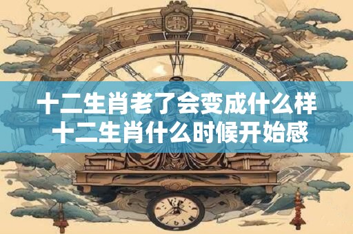 十二生肖老了会变成什么样 十二生肖什么时候开始感觉自己老了