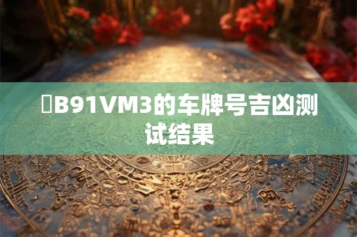 粵B91VM3的车牌号吉凶测试结果