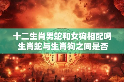 十二生肖男蛇和女狗相配吗 生肖蛇与生肖狗之间是否相配