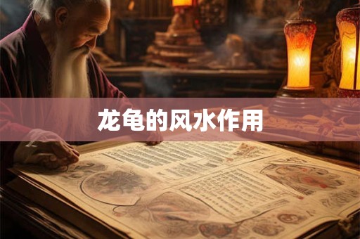 龙龟的风水作用