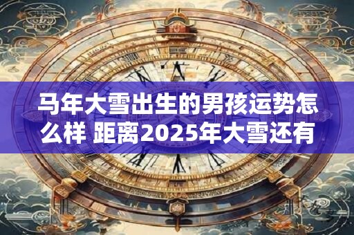 马年大雪出生的男孩运势怎么样 距离2026年大雪还有几天