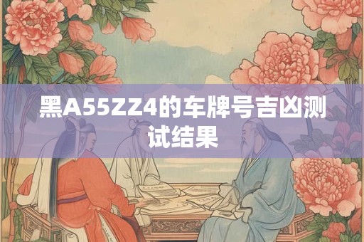黑A55ZZ4的车牌号吉凶测试结果