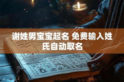 谢姓男宝宝起名 免费输入姓氏自动取名
