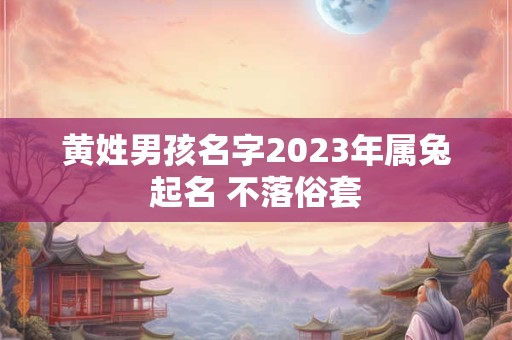 黄姓男孩名字2023年属兔起名 不落俗套