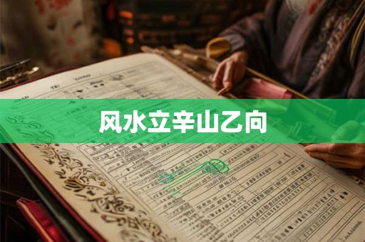 风水立辛山乙向