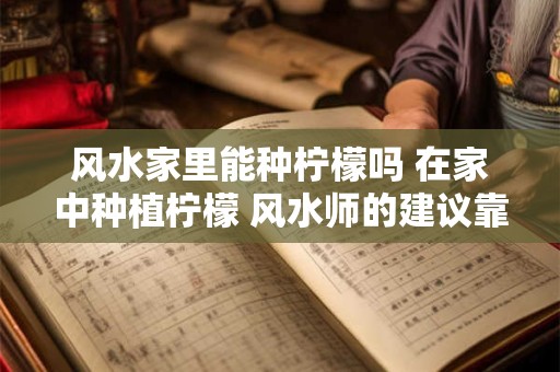 风水家里能种柠檬吗 在家中种植柠檬 风水师的建议靠谱吗