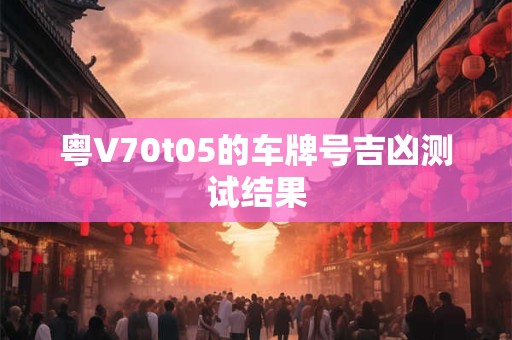 粤V70t05的车牌号吉凶测试结果