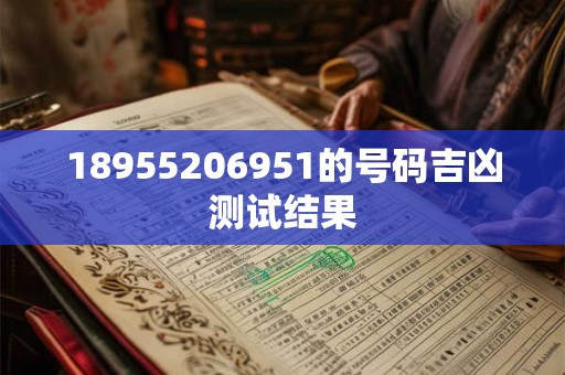 18955206951的号码吉凶测试结果