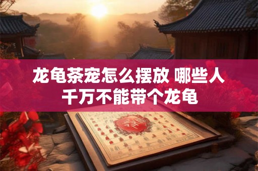 龙龟茶宠怎么摆放 哪些人千万不能带个龙龟