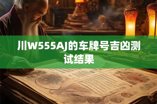 川W555AJ的车牌号吉凶测试结果