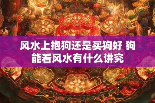 风水上抱狗还是买狗好 狗能看风水有什么讲究