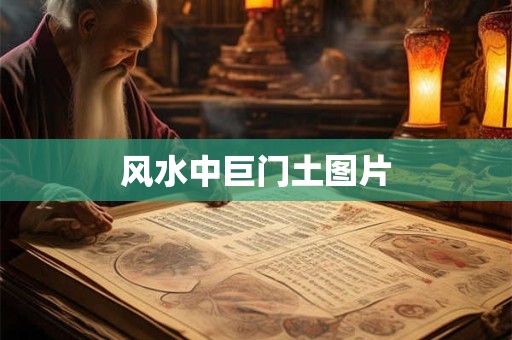 风水中巨门土图片
