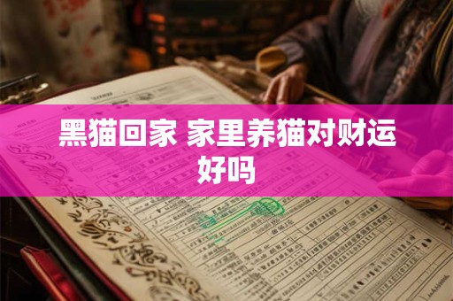 黑猫回家 家里养猫对财运好吗