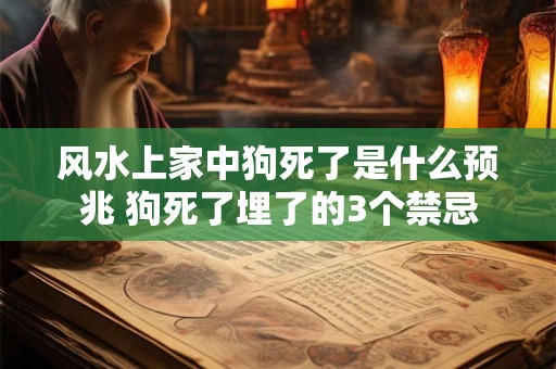 风水上家中狗死了是什么预兆 狗死了埋了的3个禁忌