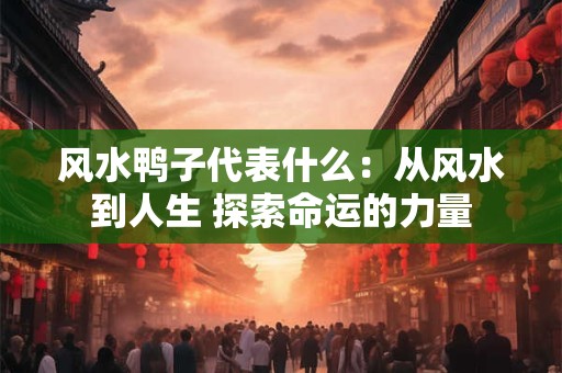 风水鸭子代表什么：从风水到人生 探索命运的力量