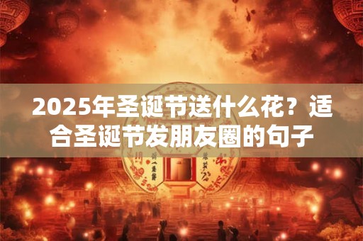 2025年圣诞节送什么花？适合圣诞节发朋友圈的句子