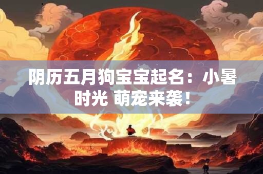 阴历五月狗宝宝起名：小暑时光 萌宠来袭！
