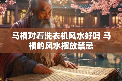 马桶对着洗衣机风水好吗 马桶的风水摆放禁忌