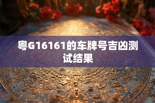 粤G16161的车牌号吉凶测试结果