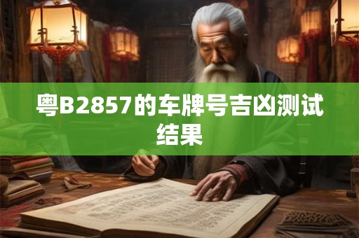 粤B2857的车牌号吉凶测试结果