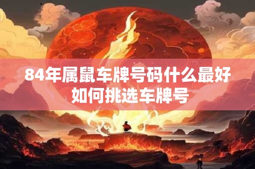 84年属鼠车牌号码什么最好 如何挑选车牌号