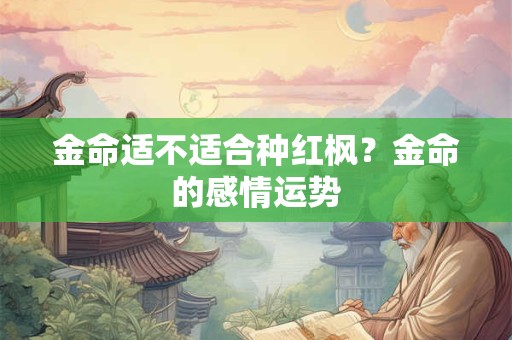 金命适不适合种红枫？金命的感情运势
